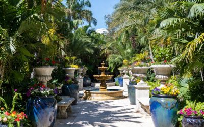 5 Expert Tips for Creating a Stunning Florida Outdoor Oasis with Pottery, Fountains & Statuary in 2026
